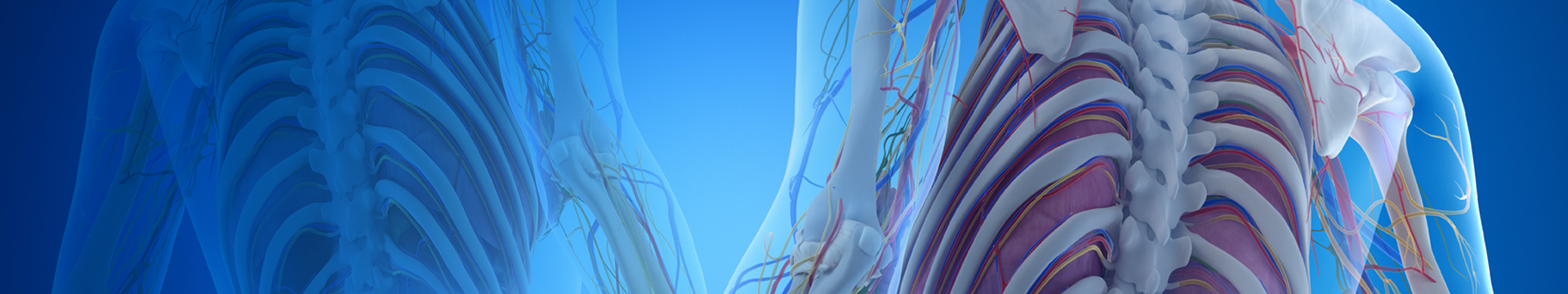 spine-mid-page-1920x360-v2